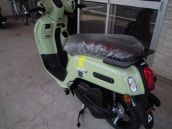 ���}�nFazzio�i���Q�����R�s�j�摜16