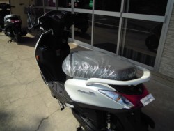 ���}�n�A�N�V�XZ�i���Q�����R�s�j�摜10