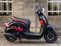 �z���_�W�����m�i���Q�����R�s�j�摜1