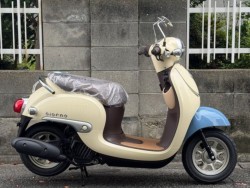 �z���_�W�����m�i���Q�����R�s�j�摜1