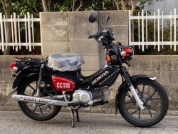 �z���_�N���X�J�u110�i���Q�����R�s�j�摜2