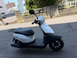 �z���_�^�N�g�E�x�[�V�b�N�i���Q�����R�s�j�摜2