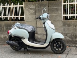 �z���_�W�����m�i���Q�����R�s�j�摜2