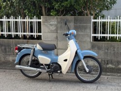 �z���_�X�[�p�[�J�u50�i���Q�����R�s�j�摜2