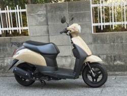 �X�Y�L���b�c�i���Q�����R�s�j�摜2