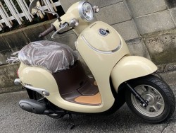 �z���_�W�����m�i���Q�����R�s�j�摜3