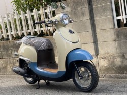 �z���_�W�����m�i���Q�����R�s�j�摜3