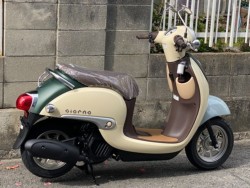 �z���_�W�����m�i���Q�����R�s�j�摜3