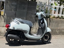 �z���_�W�����m�i���Q�����R�s�j�摜3