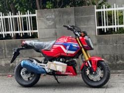 �z���_�O�����i���Q�����R�s�j�摜3
