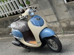 �z���_�W�����m�i���Q�����R�s�j�摜3