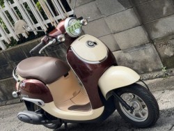 �z���_�W�����m�i���Q�����R�s�j�摜3