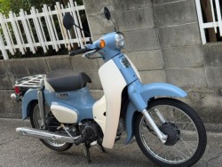 �z���_�X�[�p�[�J�u50�i���Q�����R�s�j�摜3