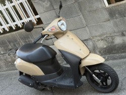 �X�Y�L���b�c�i���Q�����R�s�j�摜3