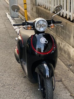 �z���_�W�����m�i���Q�����R�s�j�摜4