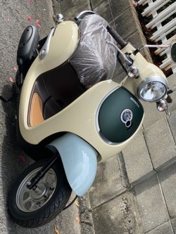 �z���_�W�����m�i���Q�����R�s�j�摜4