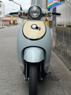 �z���_�W�����m�i���Q�����R�s�j�摜4