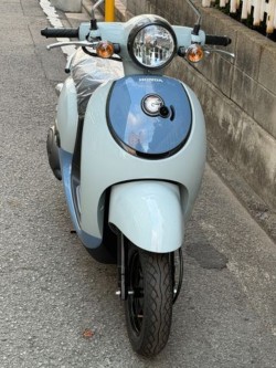 �z���_�W�����m�i���Q�����R�s�j�摜4