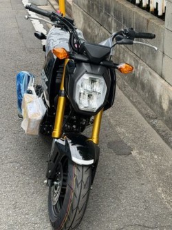 �z���_�O�����i���Q�����R�s�j�摜5