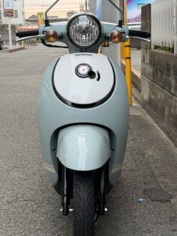 �z���_�W�����m�i���Q�����R�s�j�摜4