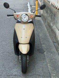 �X�Y�L���b�c�i���Q�����R�s�j�摜4