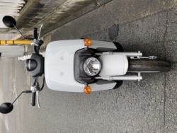 �z���_BENLY110�i���Q�����R�s�j�摜4