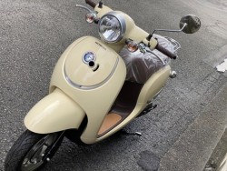 �z���_�W�����m�i���Q�����R�s�j�摜5