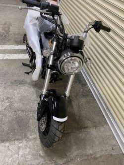 �z���_�_�b�N�X125�i���Q�����R�s�j�摜5