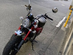 �z���_�����L�[125�i���Q�����R�s�j�摜5