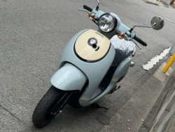 �z���_�W�����m�i���Q�����R�s�j�摜5