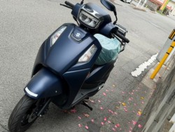 �X�Y�L�A�h���X125�i���Q�����R�s�j�摜5