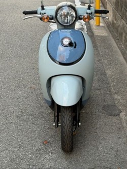 �z���_�W�����m�i���Q�����R�s�j�摜5