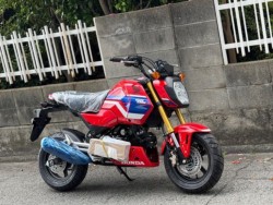 �z���_�O�����i���Q�����R�s�j�摜5
