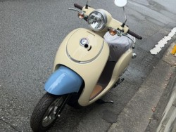 �z���_�W�����m�i���Q�����R�s�j�摜5