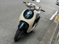 �z���_�W�����m�i���Q�����R�s�j�摜5