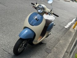 �z���_�W�����m�i���Q�����R�s�j�摜5