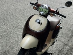 �z���_�W�����m�i���Q�����R�s�j�摜5