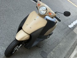 �X�Y�L���b�c�i���Q�����R�s�j�摜5