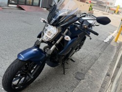 �X�Y�L�W�N�T�[250�i���Q�����R�s�j�摜5