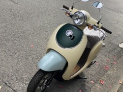 �z���_�W�����m�i���Q�����R�s�j�摜6