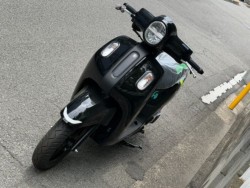 ���}�nFazzio�i���Q�����R�s�j�摜6