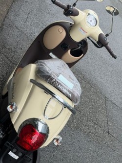 �z���_�W�����m�i���Q�����R�s�j�摜6