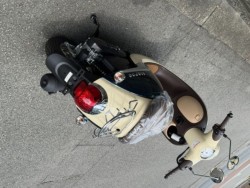 �z���_�W�����m�i���Q�����R�s�j�摜6