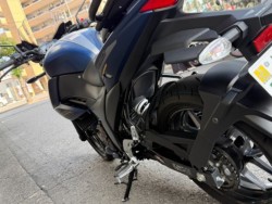 �X�Y�L�W�N�T�[250�i���Q�����R�s�j�摜6