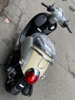 �z���_�W�����m�i���Q�����R�s�j�摜7