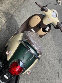 �z���_�W�����m�i���Q�����R�s�j�摜7