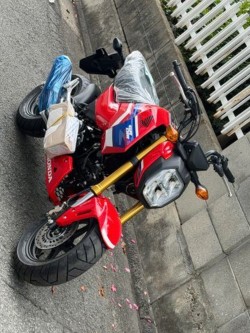 �z���_�O�����i���Q�����R�s�j�摜7