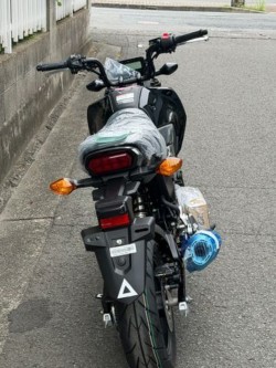 �z���_�O�����i���Q�����R�s�j�摜8