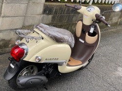 �z���_�W�����m�i���Q�����R�s�j�摜8