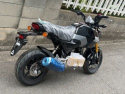 �z���_�O�����i���Q�����R�s�j�摜9